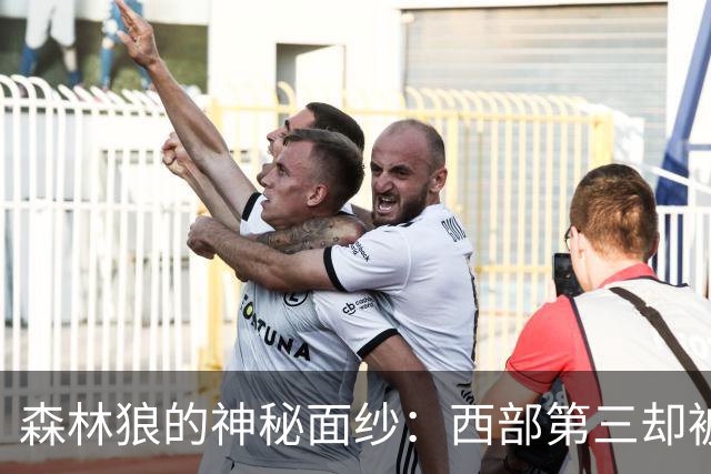 森林狼的神秘面纱：西部第三却被嫌难以预测